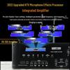 Songchuan SP101 Home KTV Professional Audio System CN plug (adapter included)