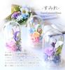 Preserved Flower Dome, Flower Dome, Buddhist Flowers, Offering Flowers, Violets, 1 Piece, Pink