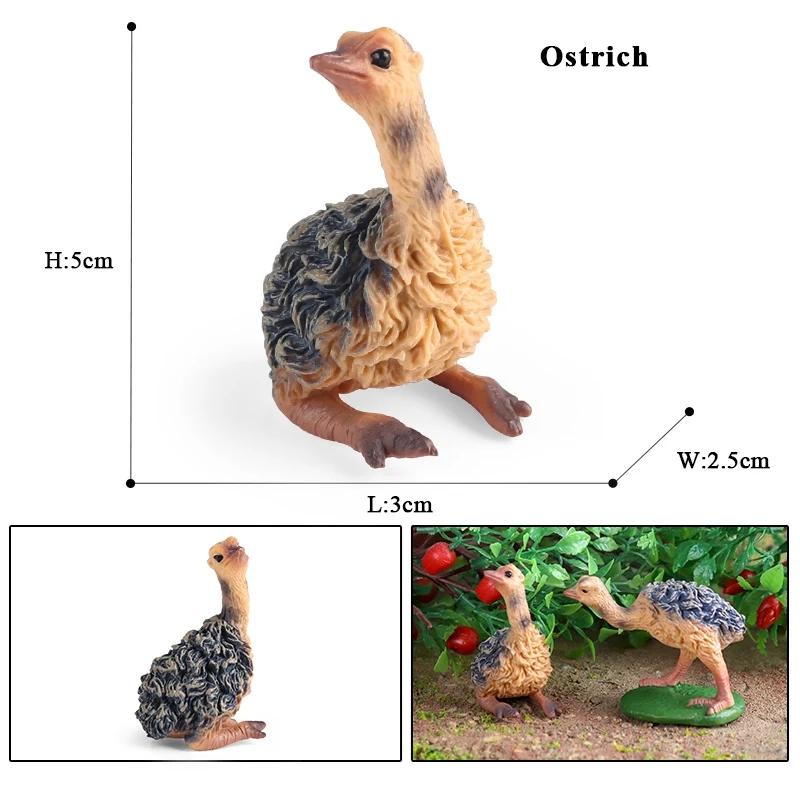 Oenux Садовые фигурки птиц Обыкновенный страус Struthio Модель животного ПВХ Фигурки для экшена Коллекционные игрушки для детей Подарок на день рождения