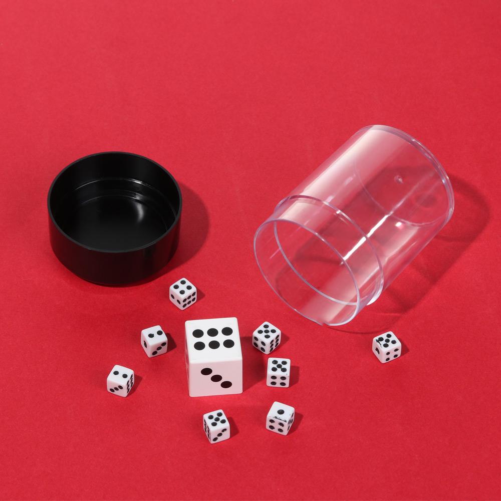 Multiple Specification Skill Mischief Dice Funny Toy Magic Prop Magic Show