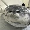 Новая подушка Angry Blob Seal Pubby 3d Novelty Sea Lion Doll Plush Stuffed Toy Baby Sleeping Throw Подушка Подарки Для Детей Девочек