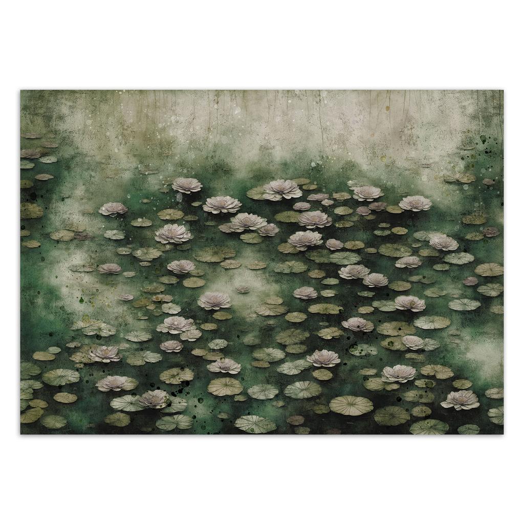 Wallpaper Lotus flowers on a lake