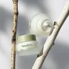 Soofe'e Birch Rich Origin Cream 50мл