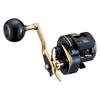 Daiwa Джиггинг 21 Saltiga IC 300