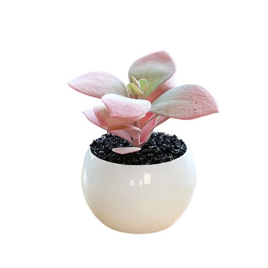 Отличный искусственный суккулент, не требующий полива, яркий декоративный