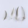 50pcs Natural Duck Feathers 8-13cm for Crafts DIY Jewelry Making Home Decoration Clothing Costume Sewing Accessory Pens Plumes