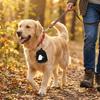 Spill-Proof Halloween Dog Snack Pack Ghost Pumpkin Pattern Pet Treat Pouch  Dog Training