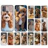 Чехол для телефона Teddy Dog для Motorola Moto G84 G23 G24 G31 G32 G41 G51 G52 G53 G54 G71 G82 G42 G62 G200 G Play G Stylus Shell