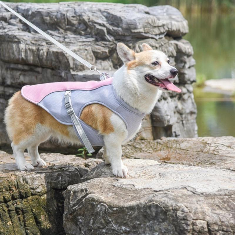 Летний охлаждающий жилет Шлейка для собаки Одежда для питомца Жилет для защиты от солнца для средней собаки