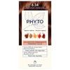 Стойкая краска - PHYTO - Phytocolor 6.34 - Темно-русый золотистый - Без аммиака - Крем