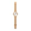 Смотреть Swatch CONTRASTED SIMPLICITY SKIN Irony SYXG120M Pink [Swatch]