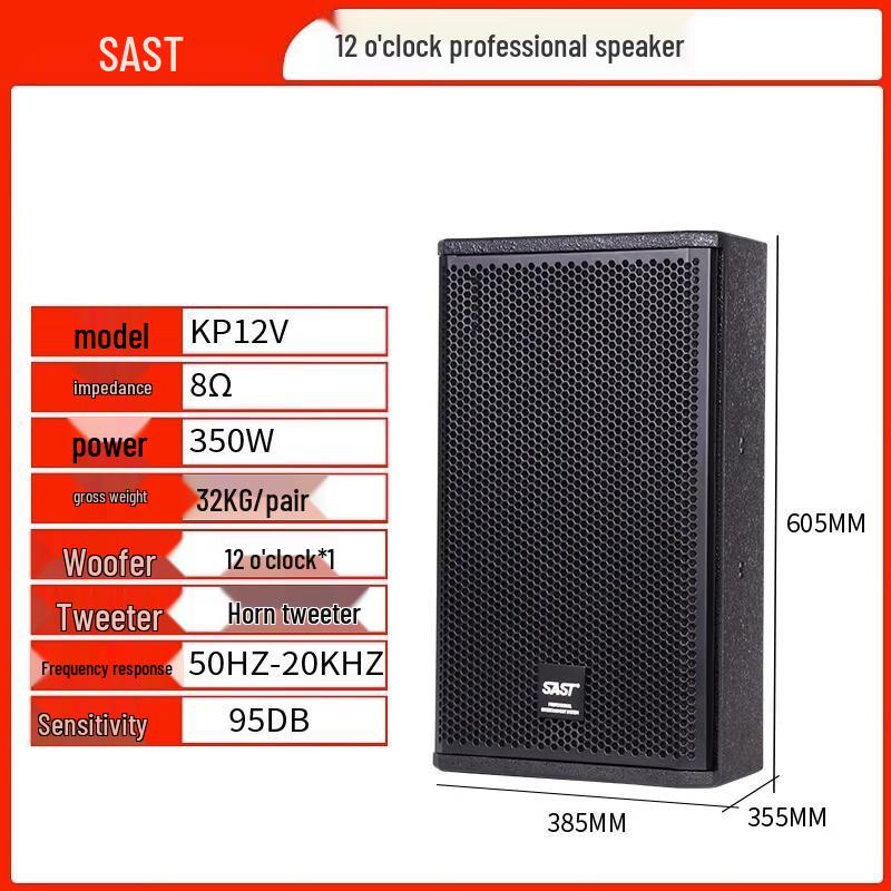SAST KP12V 12-inch Professional KTV Stage Speaker CN plug (adapter included)