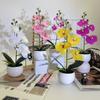 Realistic Artificial Orchid Arrangement With Small Round Pot For Indoor And Outdoor Decoration