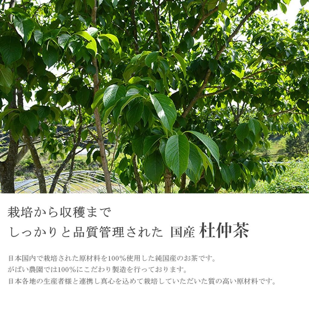 Gabai Farm Домашний чай ручной работы Kakidooshi 3 г x 40 пакетиков Чай Полезный чай Чайный пакетик Без кофеина Без добавок