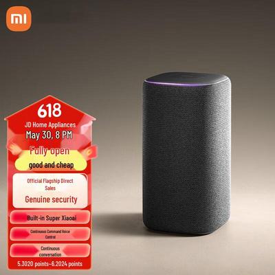 Умная колонка Xiaomi AI Smart Speaker Pro с китайской вилкой (адаптер в комплекте)