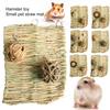 1 Set Hamster Chew Toy Bite Resistant Natural Materials Relieve Boredom Hamster