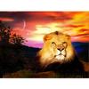 5D DIY Алмазная вышивка Лев Алмазная картина Вышивка крестом Животные Картина Домашний декор