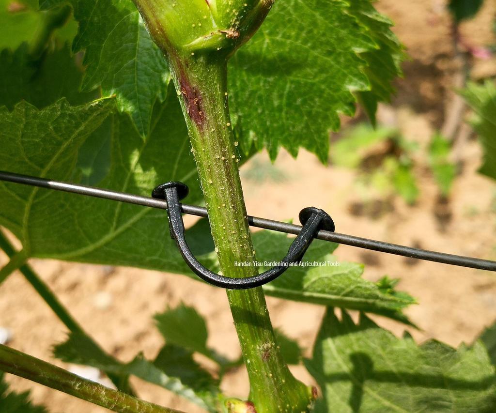 Зажим для подвязывания винограда и киви: Прочный сельскохозяйственный пластиковый крючок