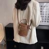 This Year's Popular Super Popular Niche Bags 2025 Autumn and Winter New Women's Bags Messenger Bags Portable Bucket Bags