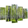 Five Piece Picture Canvas Print Birchwood Forest