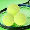 Playing Game Outdoor Fun Fibrous Felt Covered Sport Tournament Fluorescent Yellow Tennis Ball