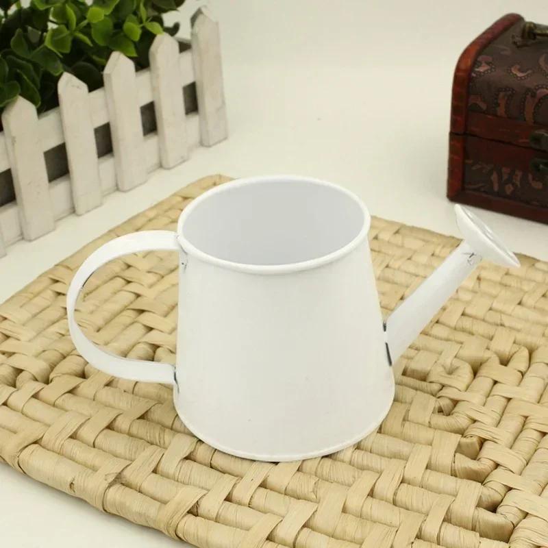 Цветочный горшок Мини лейка Железный цветок Украшение для дома Маленькое ведро Цветочная композиция Суккулентное растение в горшке