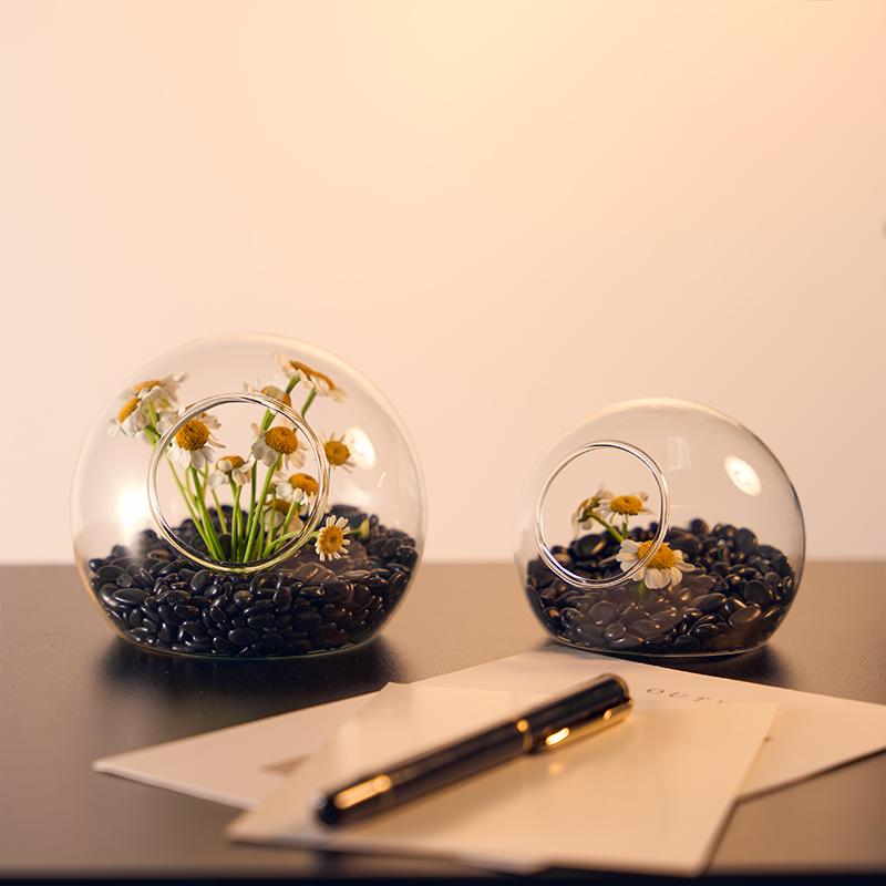 Полукруглая гидропонная настенная декоративная стеклянная ваза для офиса