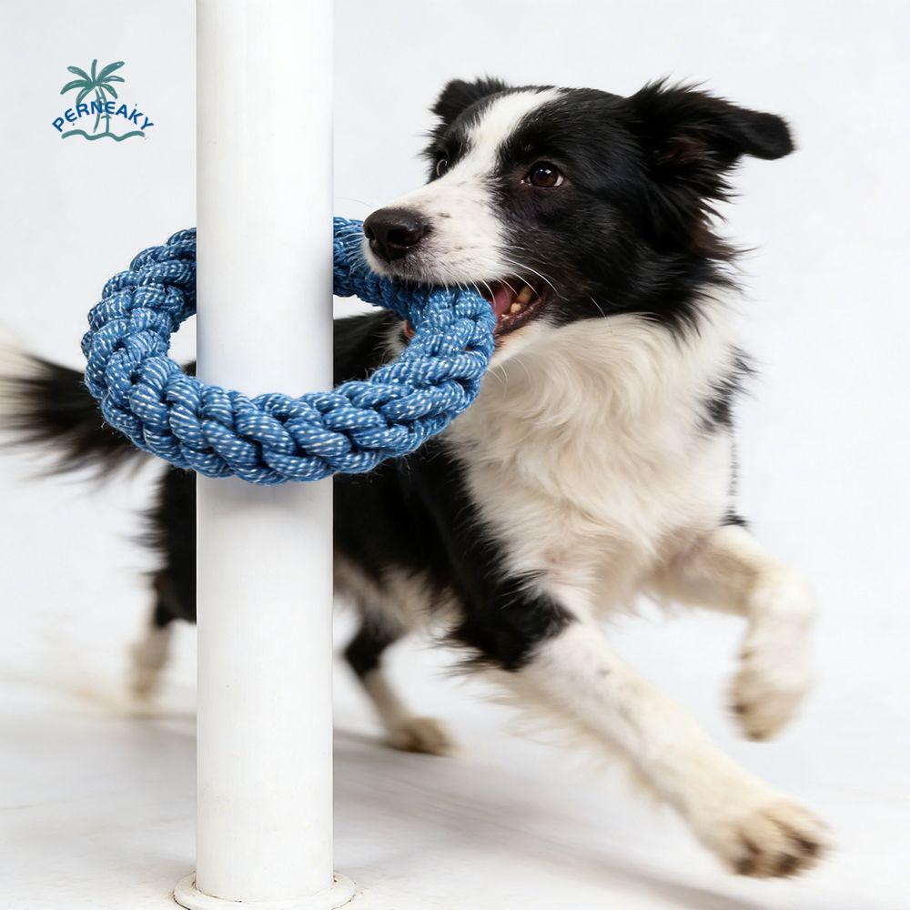 Teeth Cleaning Bite Resistant Dogs Cotton Rope Toy Wear Resistant Outdoor Dog Chew Toy Indoor Pet Molar Toy Grinding