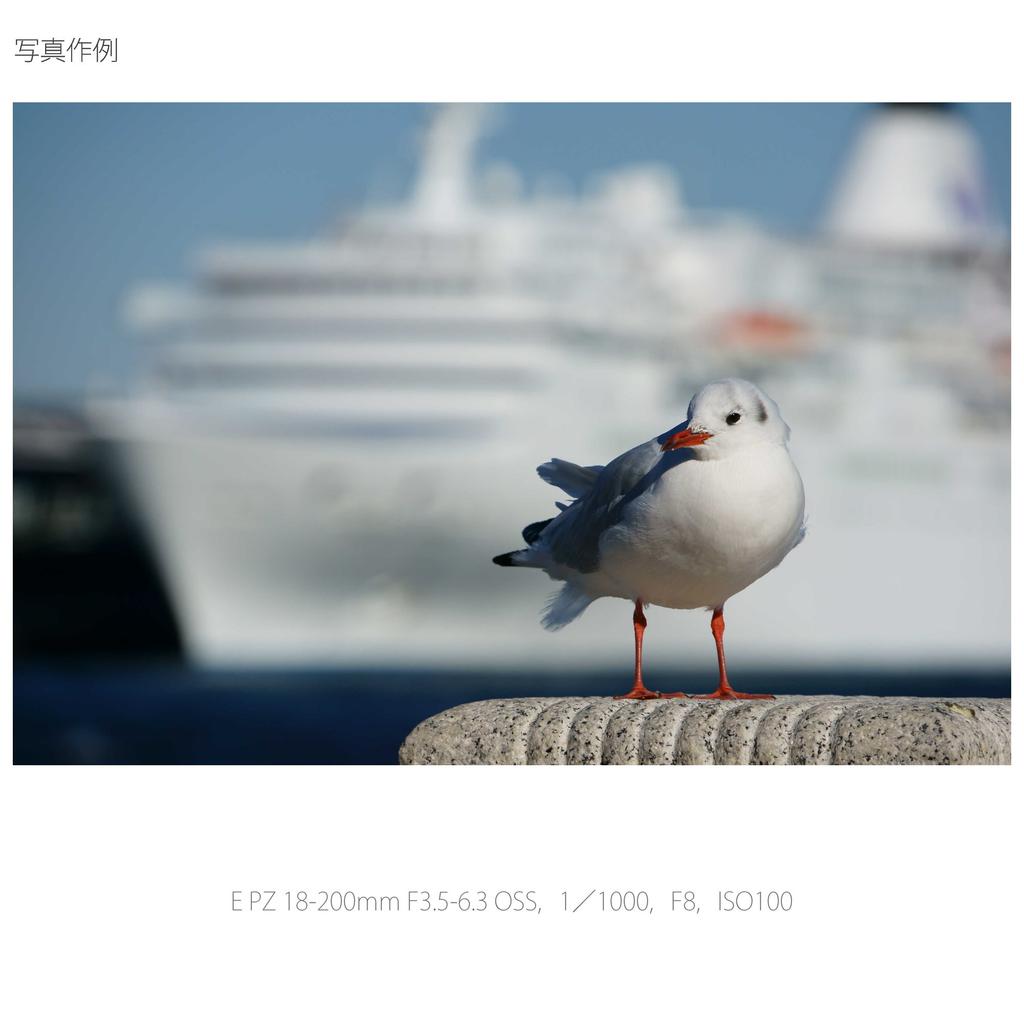 Sony High Magnification Zoom Lens E PZ OSS for Sony E Mount Exclusive SELP18200 18-200mm F3.5-6.3 APS-C