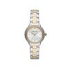 Часы NA AR11524 Silver Gold [Emporio Armani] Женские и