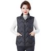 Женский зимний пуховый хлопковый жилет плюс размер, жилет с воротником-стойкой, повседневный женский теплый хлопковый жилет