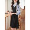 Simple Commuter Shirt Skirt Autumn New Contrast Embroidery Fake Two-piece Versatile Suit Dress