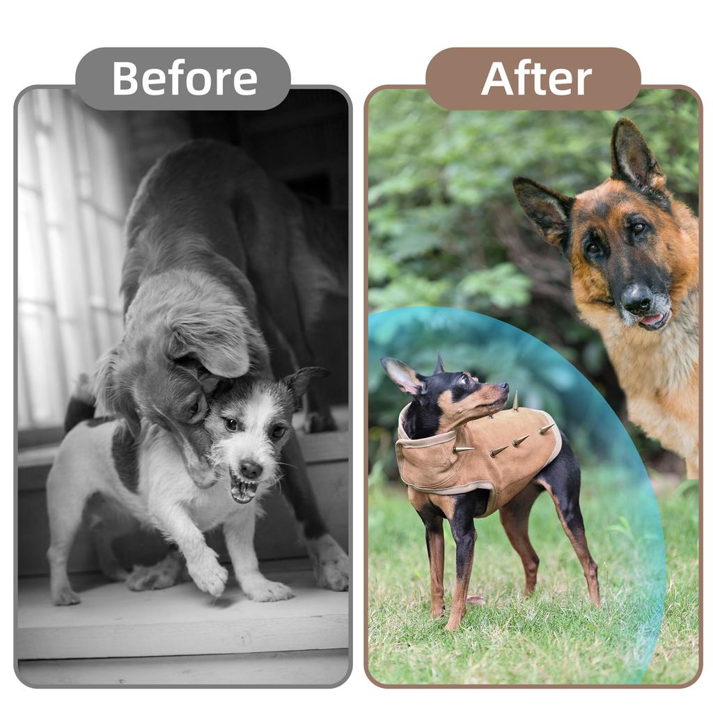 Легкий защитный жилет для собак с дышащей сетчатой тканью, прочная уличная экипировка для активных питомцев