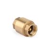 DN15 1/2" NPT In-Line Check Valve Brass Spring Loaded Inline 200PSI