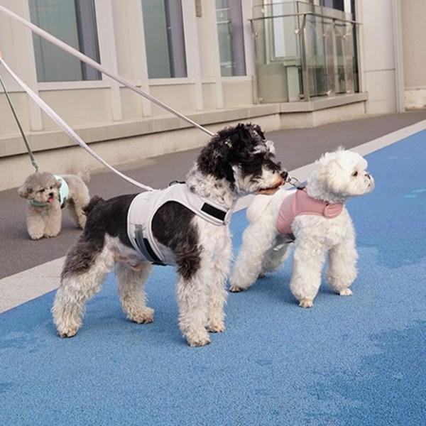 Dog Boutique Шлейка для собак, комплект одежды, комплект свинцового поводка, нагрудный поводок, товары для прогулок, серый