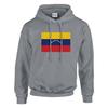 Sweat à capuche - PIXELFORMA - Drapeau du Венесуэла - Gris - Длинные маншки - Col capuche