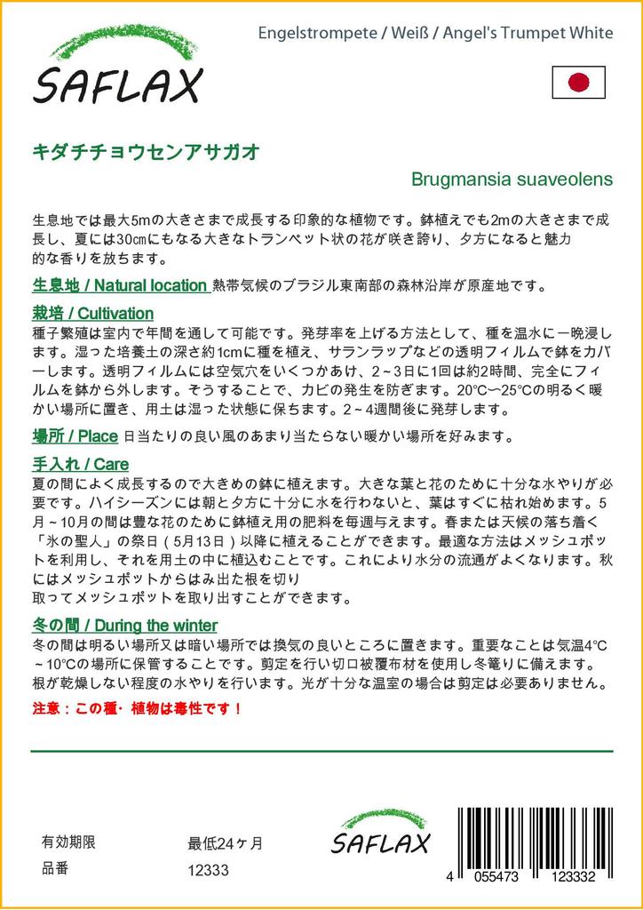 SAFLAX Angel's Trumpet White - 10 семян - Brugmansia suaveolens