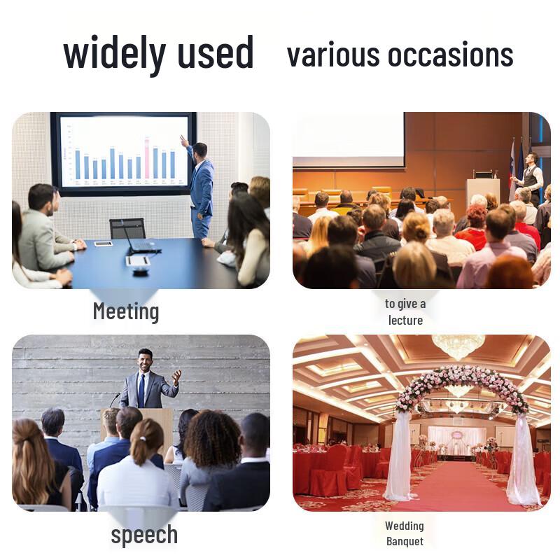 SANSUI K40B Wireless 1-to-4 Conference Microphone System CN plug (adapter included) (CN version)
