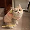 Soft Cute Duck Pet Vest Warm Padded Coat Dogs Cats Teddy Bichon Winter