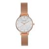 Skagen Watch KLASSIK SKW2151 Women's Regular Import Pink Gold