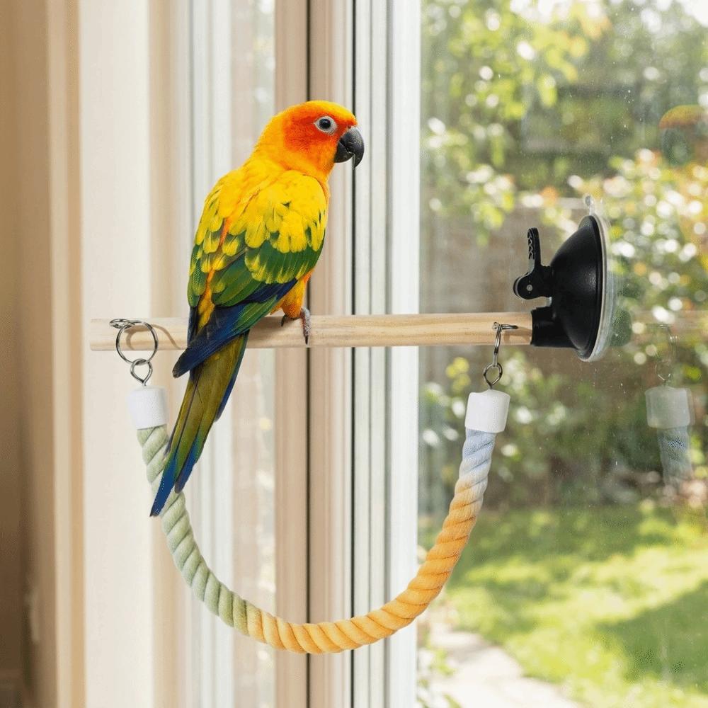 Bite Resistant Parrot Climbing Perch Suction Cup Hanging Bird Swing Bird Swing Toy  Bird Cages