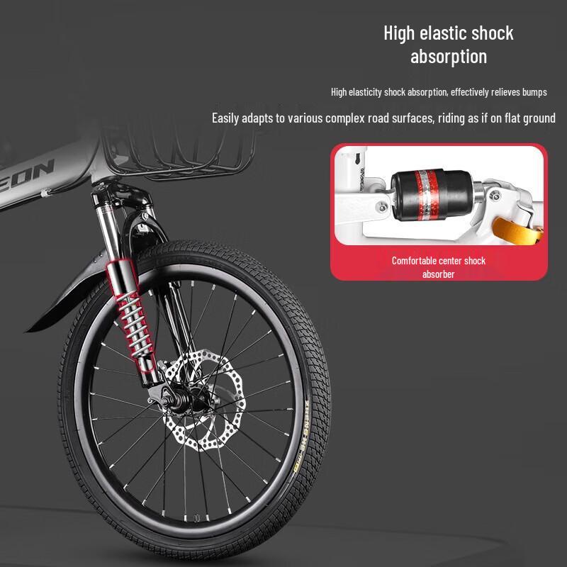 Feige Kangaroo F197003 20-inch Single Speed Commuter Bike