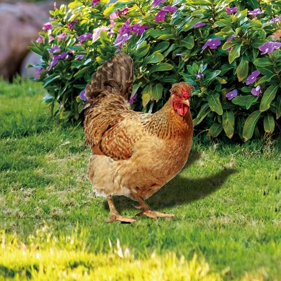 2 шт. курица садовая ставка куриный газон скульптура простая установка ручной работы акриловый куриный садовый орнамент крыльцо лужайка открытый двор декор