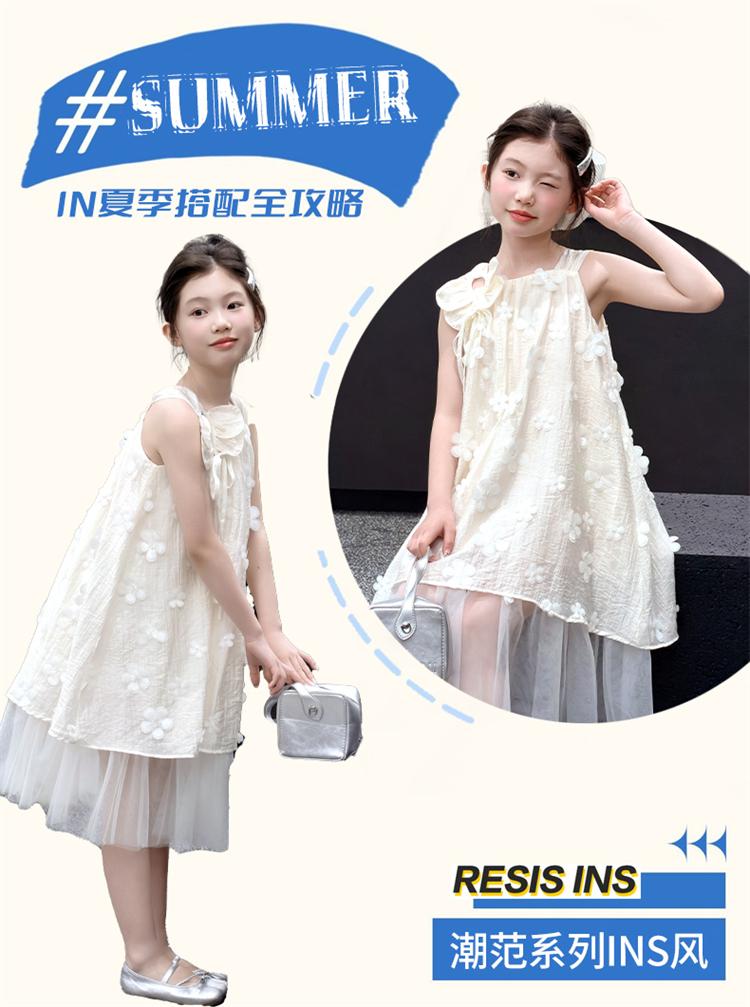 New Summer Dress for Girls with a Rich Family and a Sense of Beauty, Princess Dress, Summer Dress, Children's Dress
