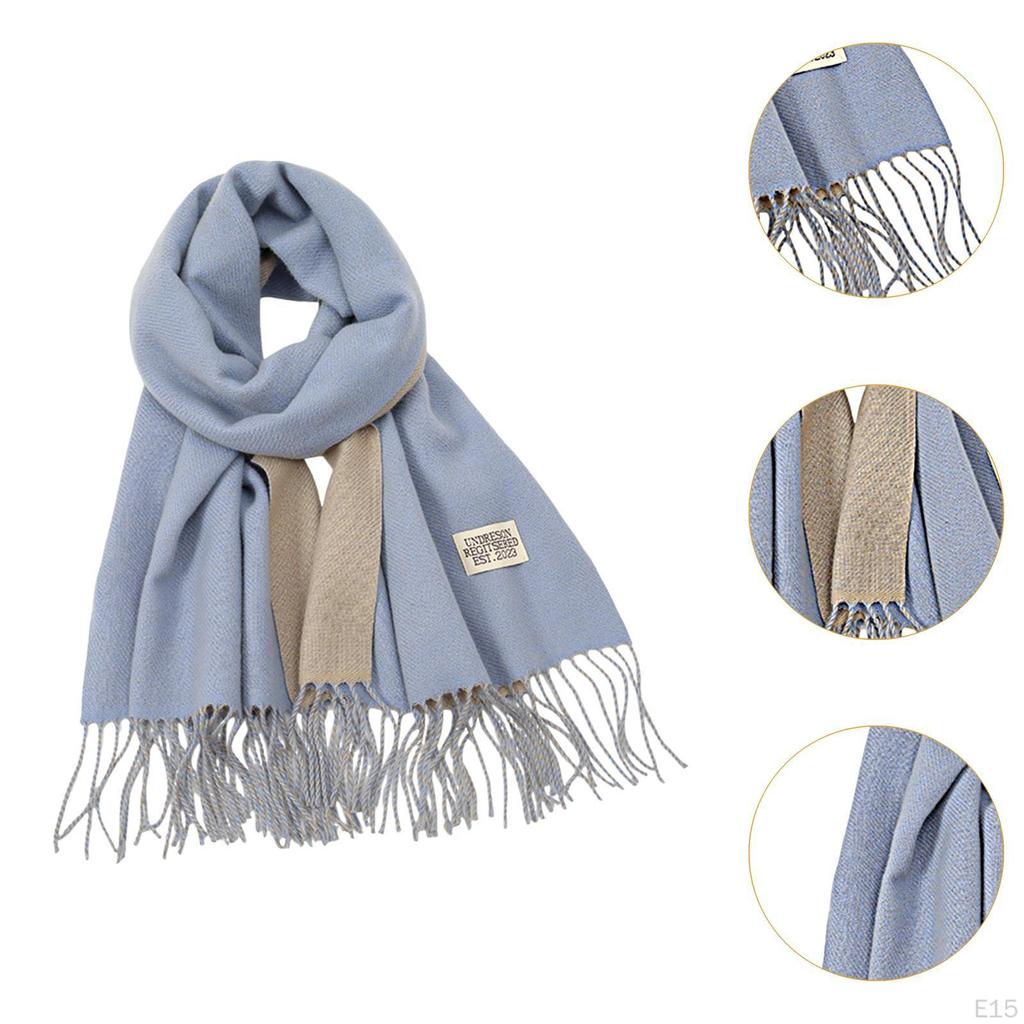 Fall Winter Scarf Pashmina Shawl Wrap Trendy Long Lady Women's for Evening