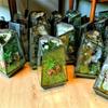Кварцевая форма Микроландшафтный Стеклянный Террариум Моховый Посадочный Танк Стеклянная Цветочная Комната Неправильная Экологическая Ваза Геометрический Террариум
