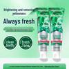 Blispring Tourmaline Oral Care Toothpaste - Fresh Mint
