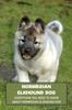 Книга Norwegian Elkhound Dog : Everything You Need To Know About Norwegian Elkhound Dog: Norwegian Elkhound Information and Owner's Guide