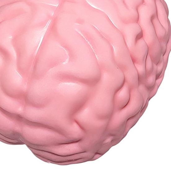 1/2Pcs Giant Simulation Brain Squeeze Toy Stress Relief Pink Brain Sensory Toy Decompression Slow Rising Realistic Brain Fidget Toy