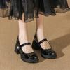 Spring and Summer New Small Fragrant Wind French Mary Jane Small Leather Shoes Women's Thick Heel Light Mouth High Heels Black Single Shoes